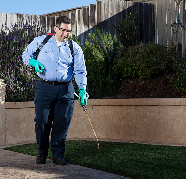 man treating house for pest control. professional exterminator. man treating house for pest control. professional exterminator.